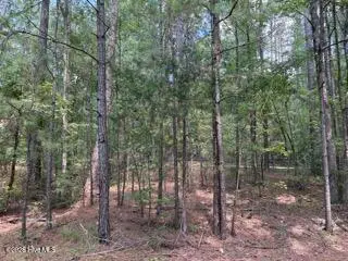 136 Cooper Drive, McCormick, SC 29835