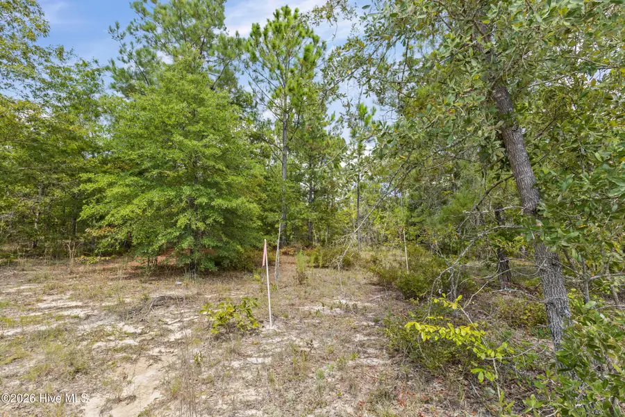Lot 16 Farmers Bridge Road, Keysville, GA 30815 - #2