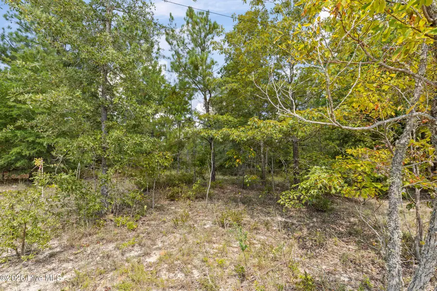 Lot 16 Farmers Bridge Road, Keysville, GA 30815 - #3