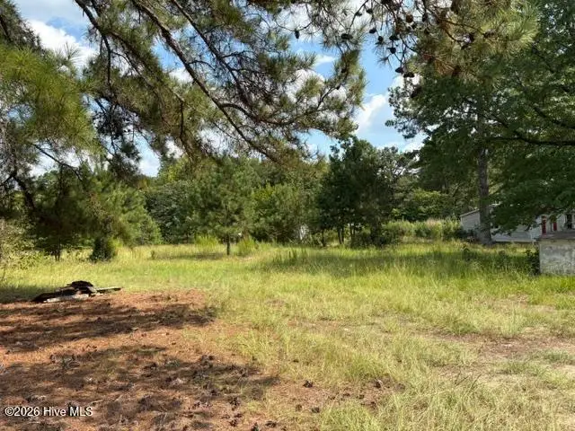 3832 Watson Seed Farm Road, Whitakers, NC 27891 - #2