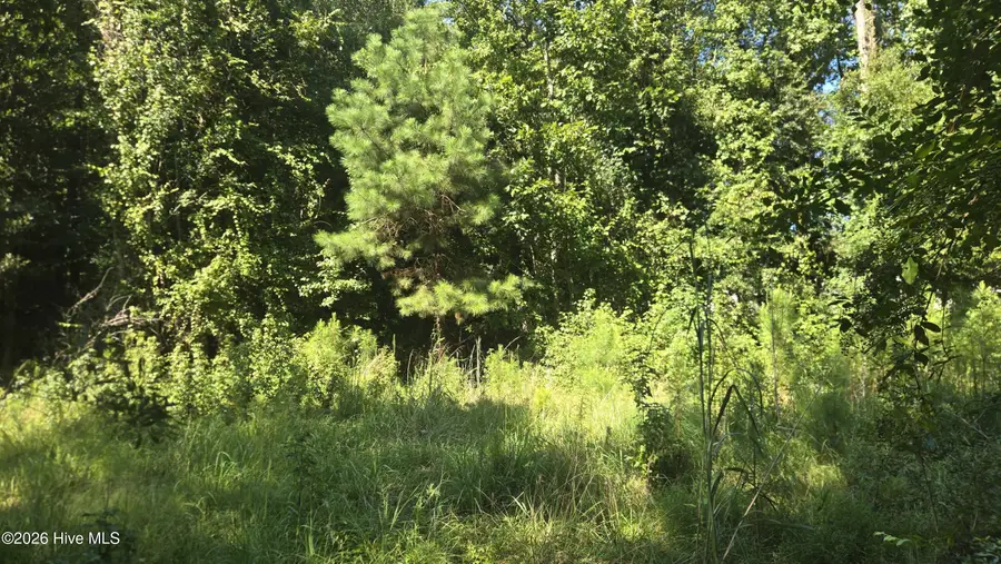100 Magnolia Way, Grantsboro, NC 28529 - #3