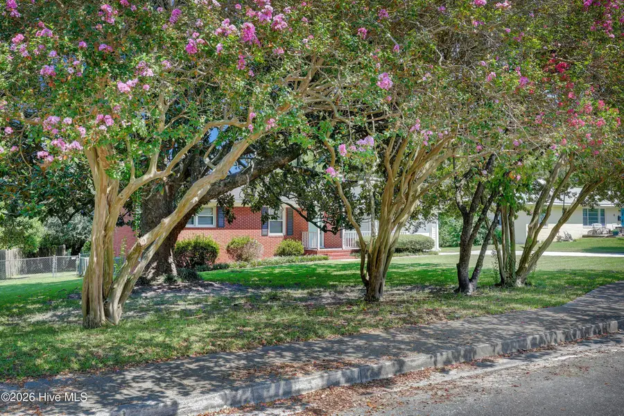 3309 Winston Boulevard, Wilmington, NC 28403 - #2