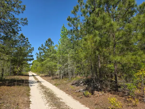 1a Briarwood Drive, Williston, SC 29853