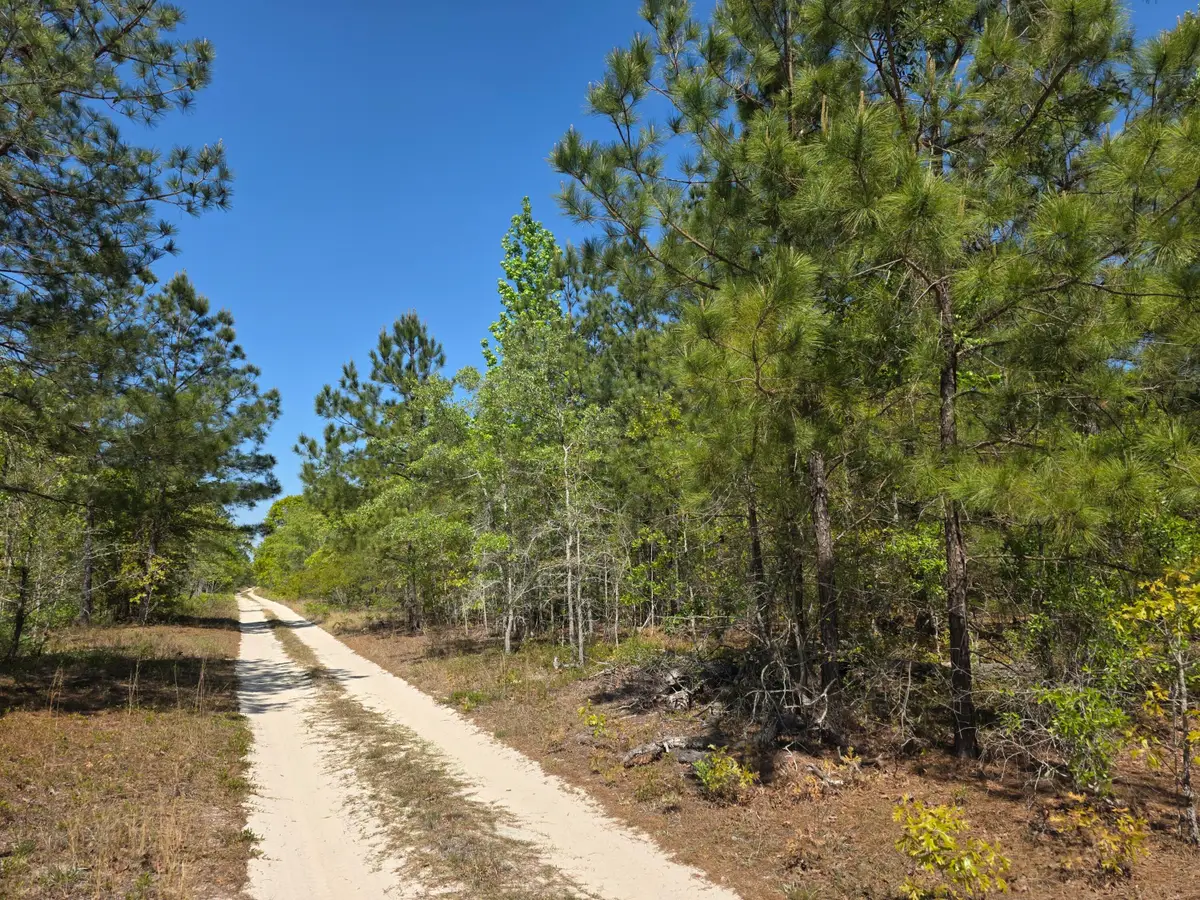 8a Briarwood Drive, Williston, SC 29853 - #1
