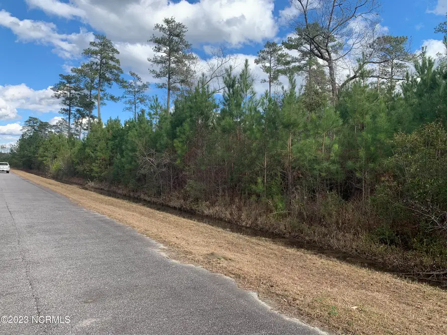 242 Castaway Road, Merritt, NC 28556 - #2