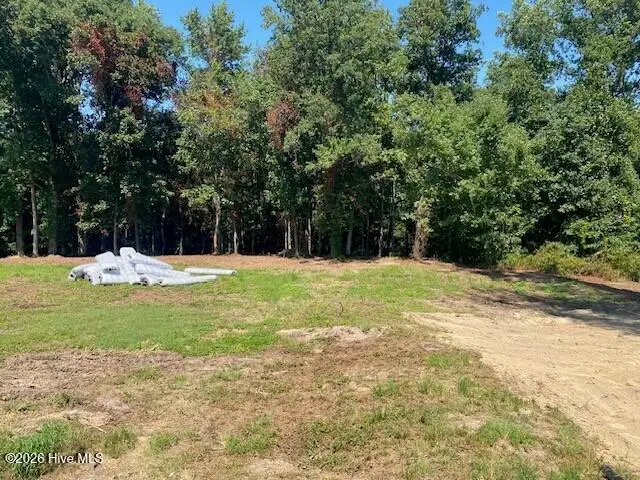 5230 Roseheath Court, Bailey, NC 27807 - #3