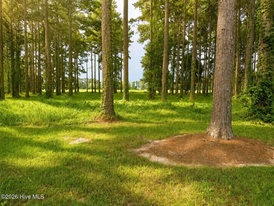 159 Frying Pan, Oriental, NC 28571 - #3