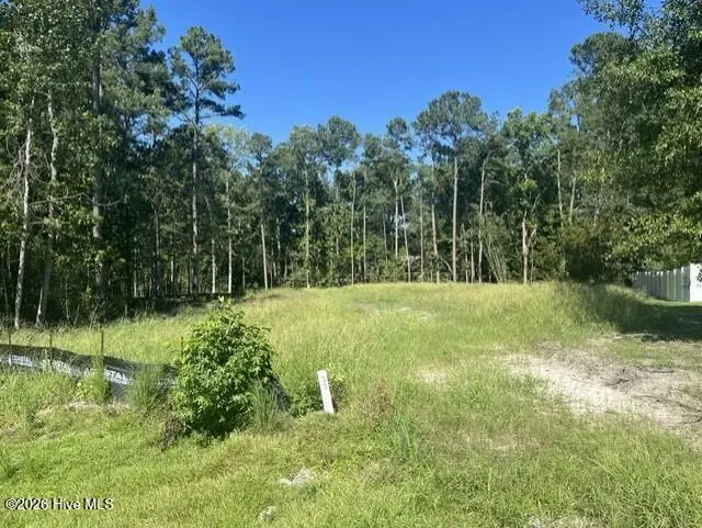 306 Joans Ridge, Stella, NC 28582 - #1