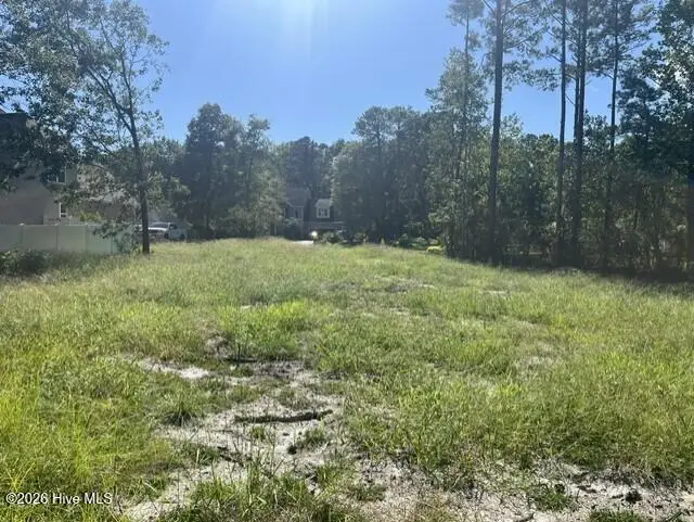 306 Joans Ridge, Stella, NC 28582 - #3