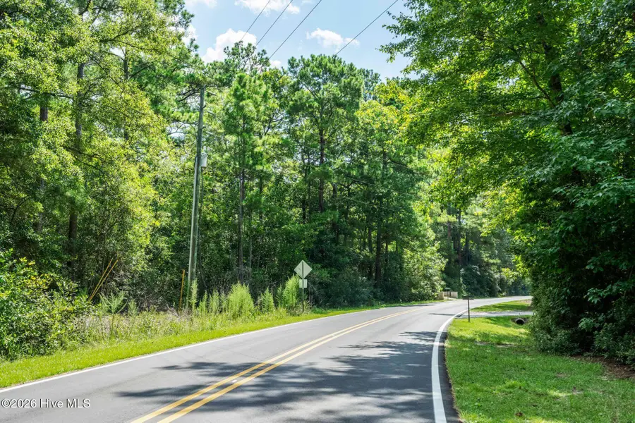 205 Creekview Drive, Hampstead, NC 28443 - #2