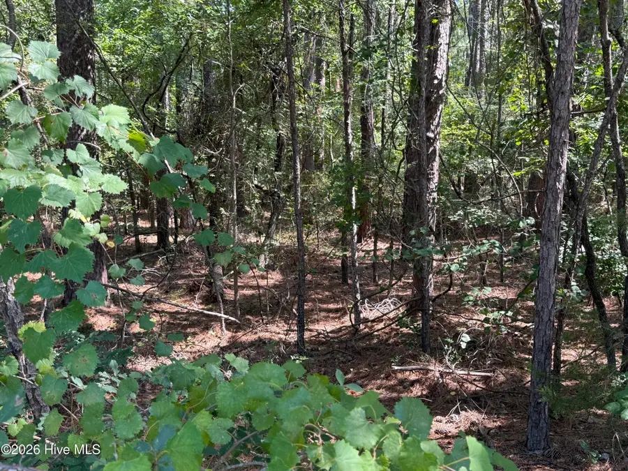 3-17 Bay Circle Circle, McCormick, SC 29835 - #3