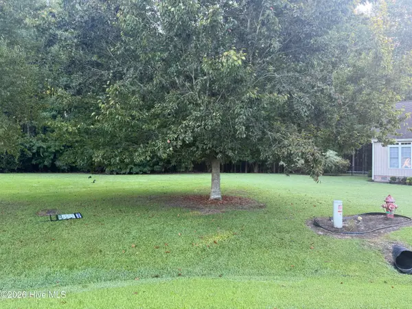Tbd Gold Rock Drive, Chocowinity, NC 27817