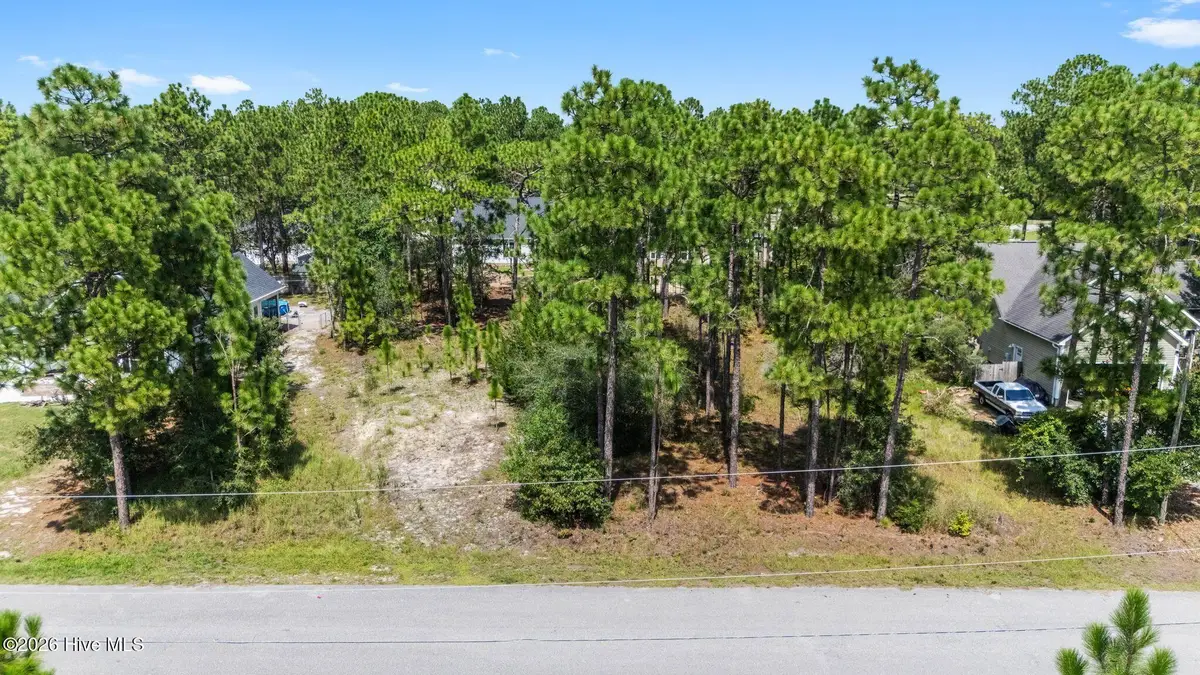 28 Greensboro Road, Boiling Spring Lakes, NC 28461 - #1