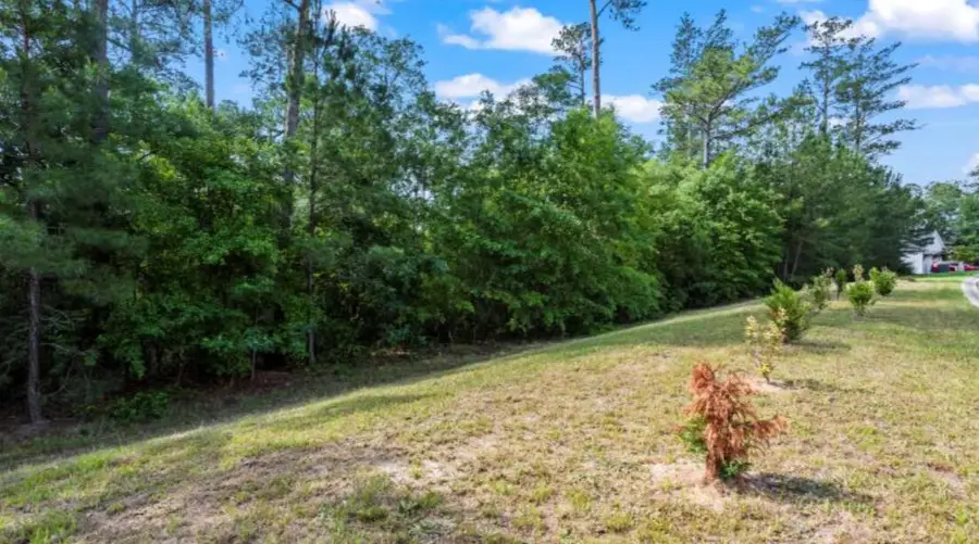 Lot S-17 Scarborough Pass, Aiken, SC 29801 - #2