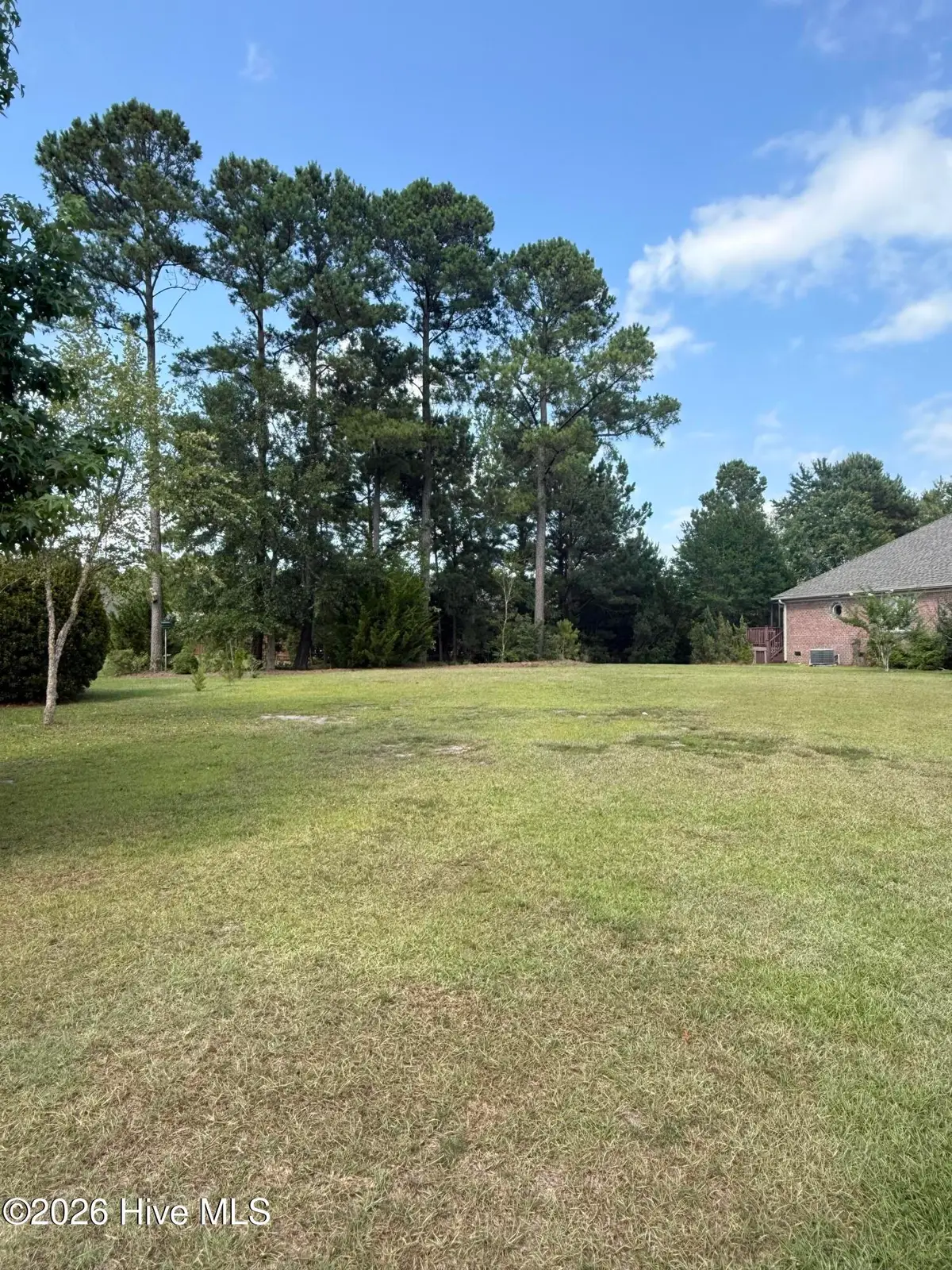 907 Spicebush Drive, Leland, NC 28479 - #1