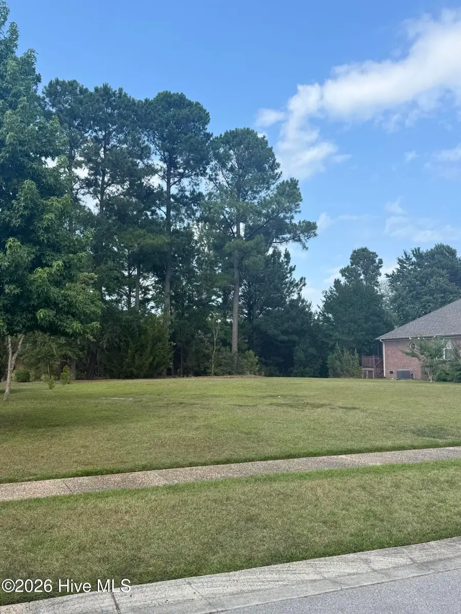 907 Spicebush Drive, Leland, NC 28479 - #3