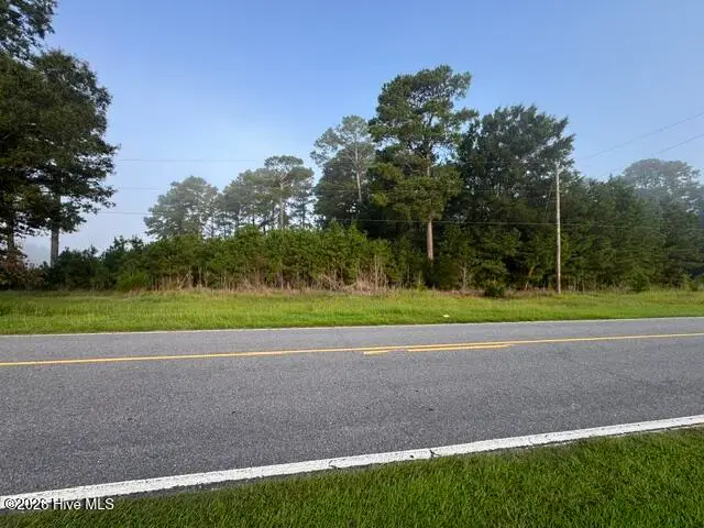6076 Marvin Taylor Road, Grifton, NC 28530 - #1