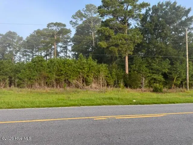 6076 Marvin Taylor Road, Grifton, NC 28530 - #3