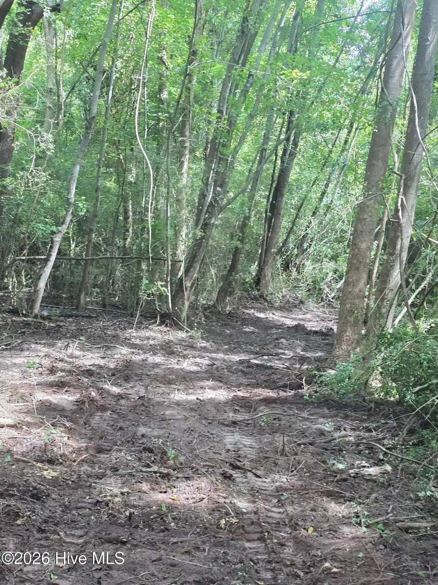 0 Englishtown Road, Willard, NC 28478 - #2