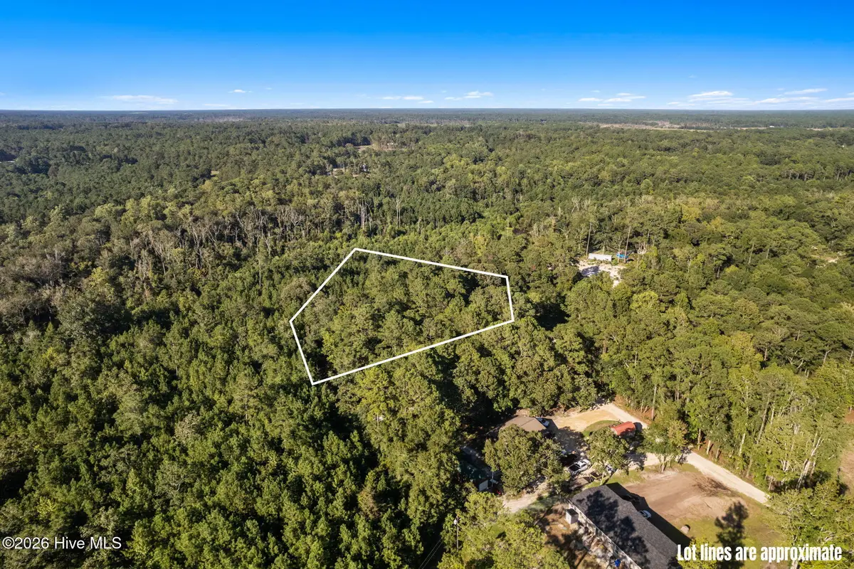 1275 Black Bear Run Sw, Supply, NC 28462 - #1