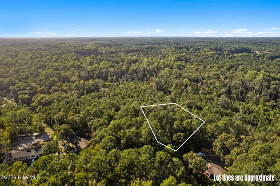 1275 Black Bear Run Sw, Supply, NC 28462 - #3