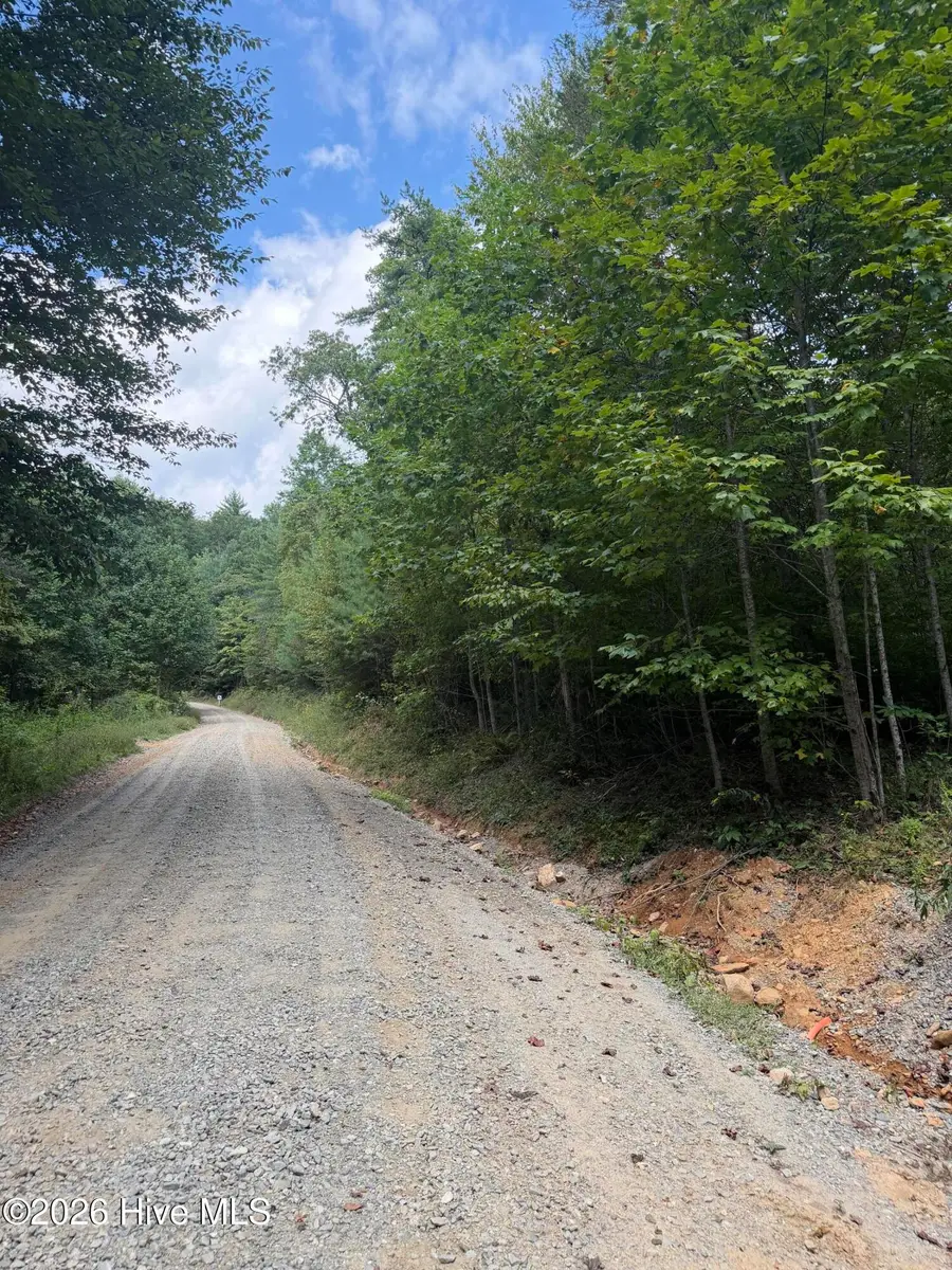 Lot 77 Kudzu Creek Trail Trail, Murphy, NC 28906 - #2