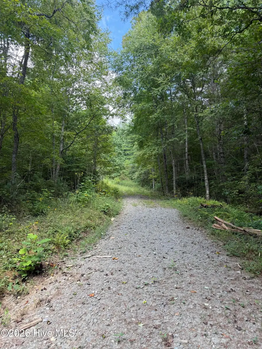 Lot 77 Kudzu Creek Trail Trail, Murphy, NC 28906 - #3