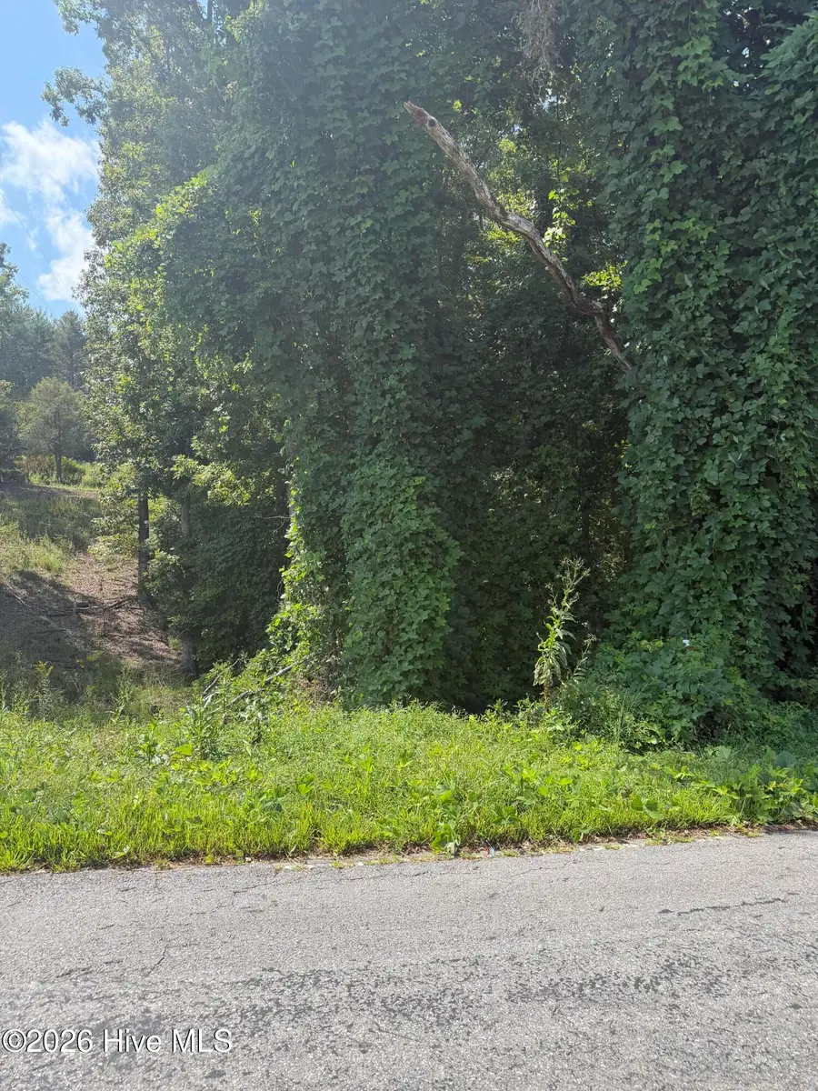 0 Taylor Hensen Road, Murphy, NC 28906 - #2