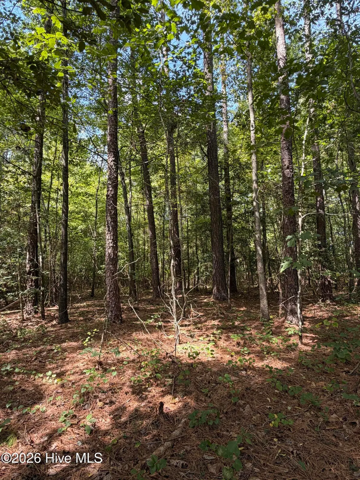 1d Gelding Gap Lane, Carthage, NC 28327 - #1