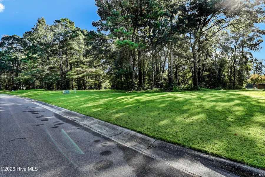211 Sycamore Forest Drive, Wallace, NC 28466 - #3