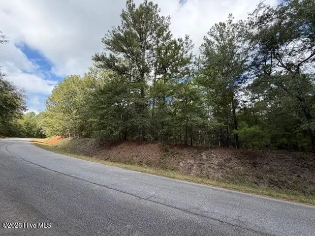 4441 Keys Road, Hephzibah, GA 30815 - #1