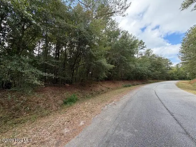 4441 Keys Road, Hephzibah, GA 30815 - #2