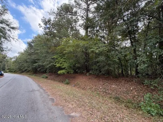 4441 Keys Road, Hephzibah, GA 30815 - #3