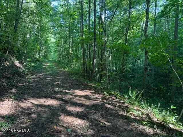 5 Tyler Lane, Marble, NC 28905 - #1