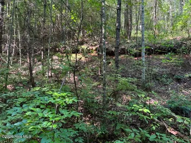 5 Tyler Lane, Marble, NC 28905 - #3