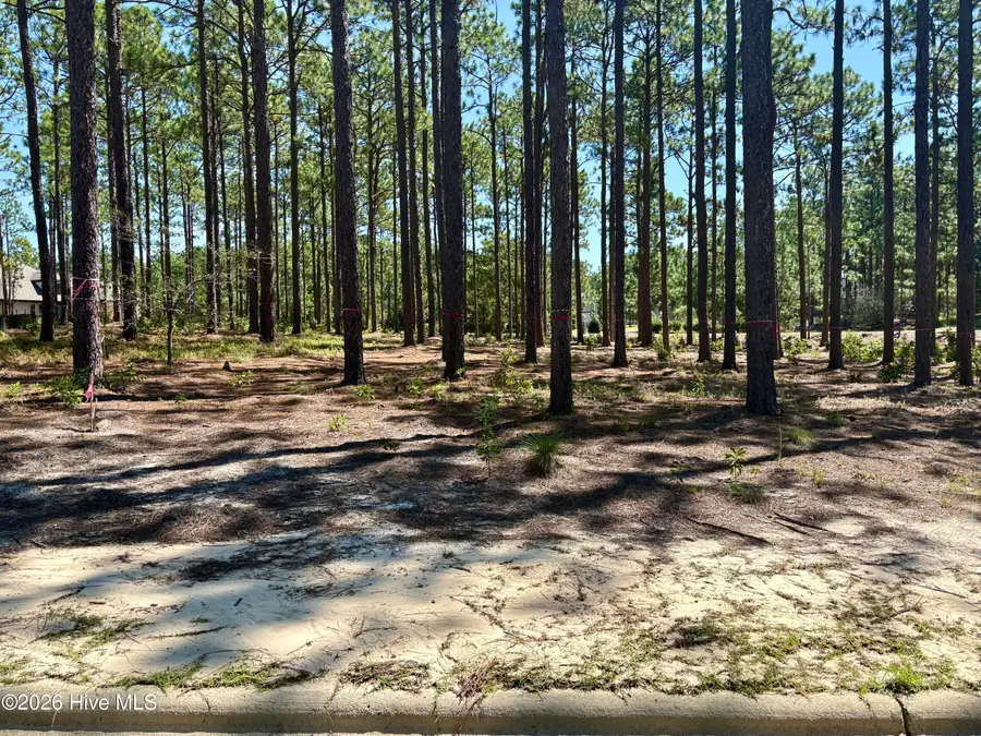 10 Cumberland Drive, Pinehurst, NC 28374 - #2