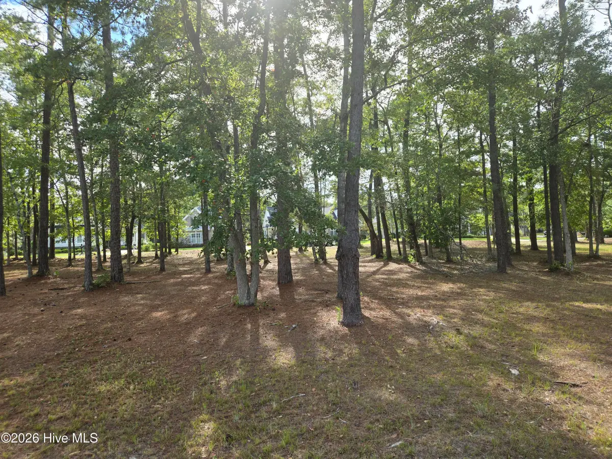 6724 Summerhill Glen Sw, Ocean Isle Beach, NC 28469 - #1
