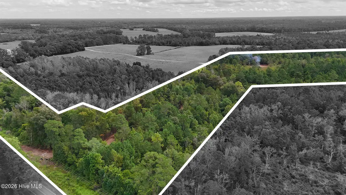 5 Bull Tail Road, Wallace, NC 28466 - #1