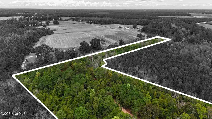 5 Bull Tail Road, Wallace, NC 28466 - #3