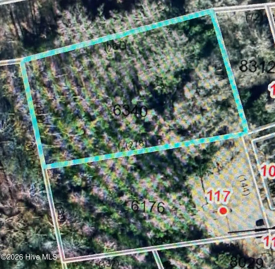 Tbd Cedar Street, Rockingham, NC 28379 - #2