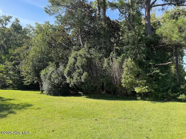 3133 Castle Hayne Road, Castle Hayne, NC 28429 - #1