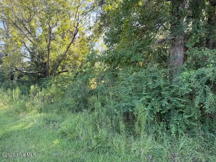 3133 Castle Hayne Road, Castle Hayne, NC 28429 - #2