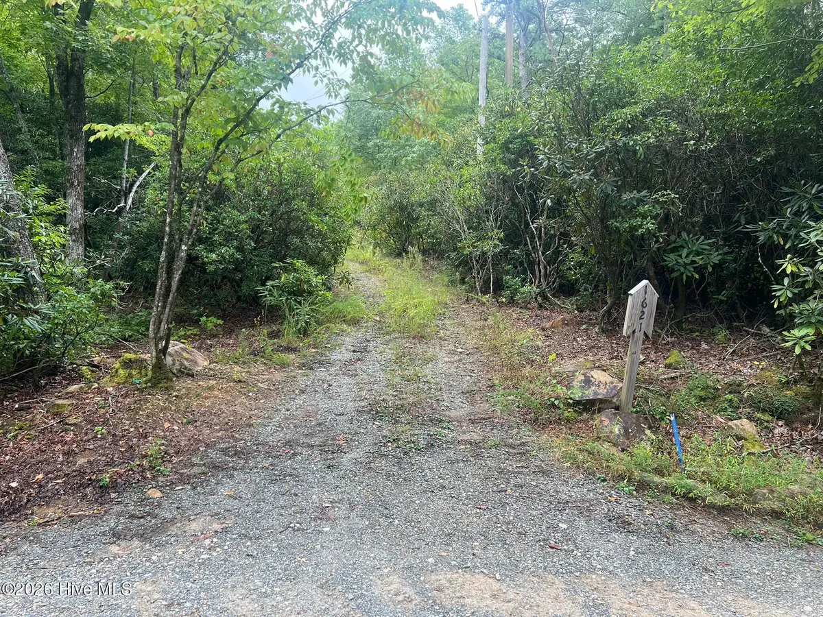 1621 Granny Squirrel Drive, Andrews, NC 28901 - #1