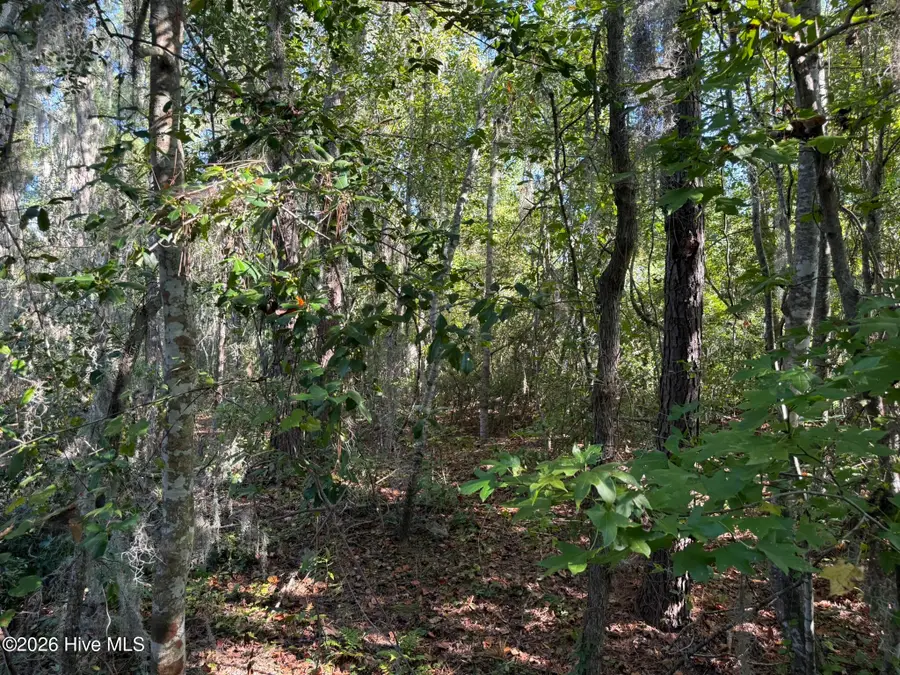 0 Eagle View Lane, Blounts Creek, NC 27814 - #3