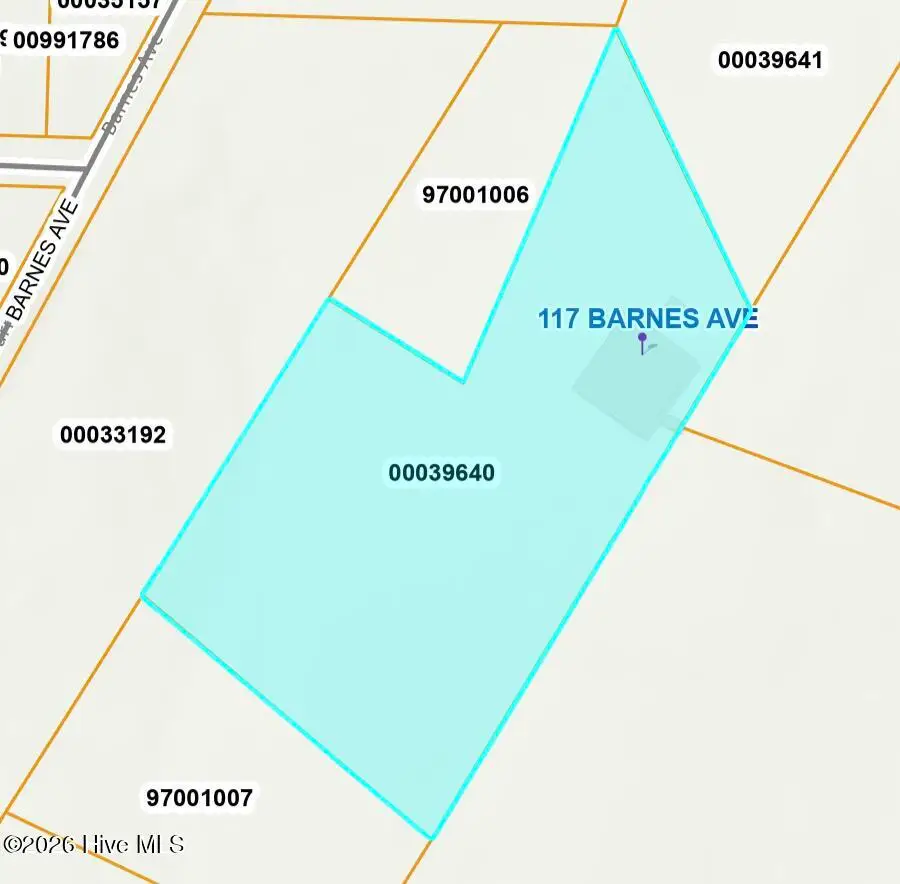 117 Barnes Avenue, Carthage, NC 28327 - #1