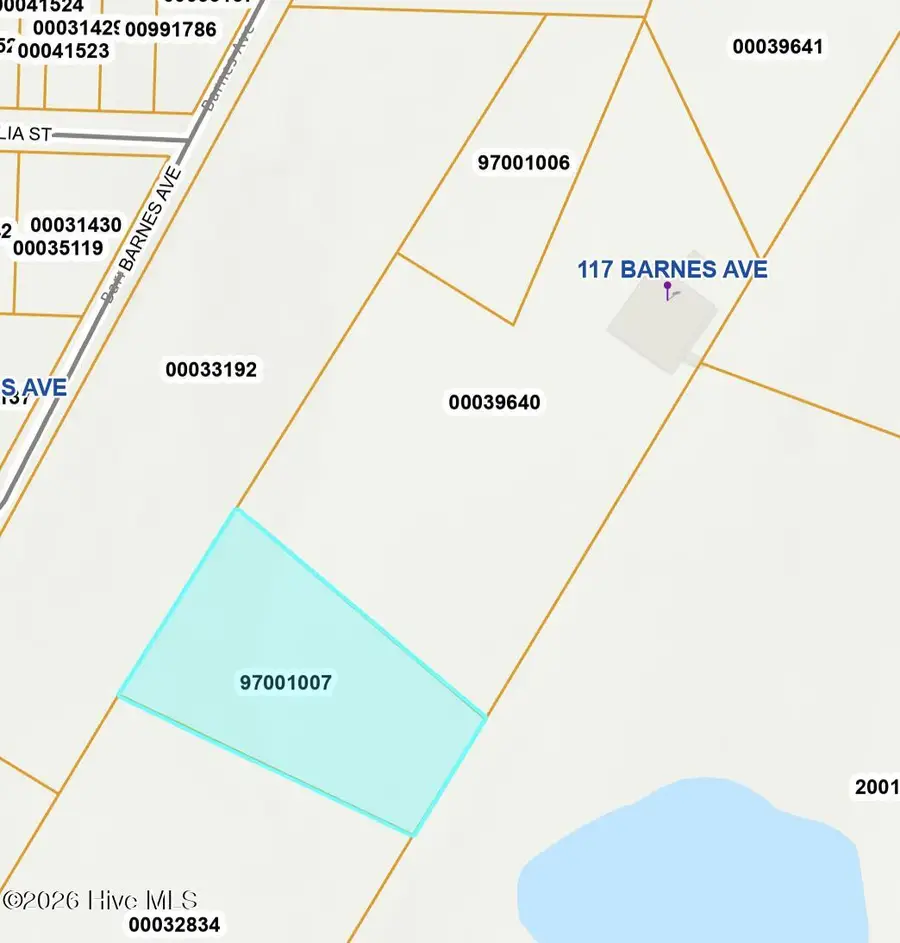 117 Barnes Avenue, Carthage, NC 28327 - #3