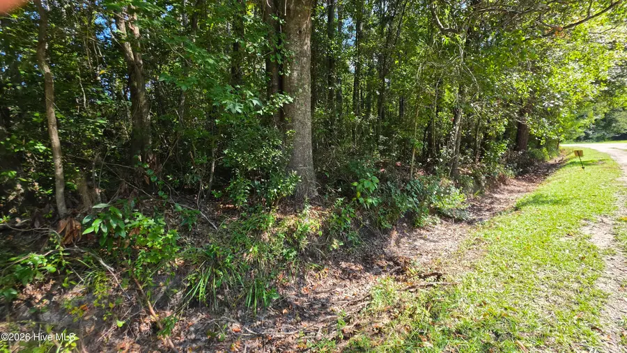 Near 74 Long Leaf Drive, Whiteville, NC 28472 - #2
