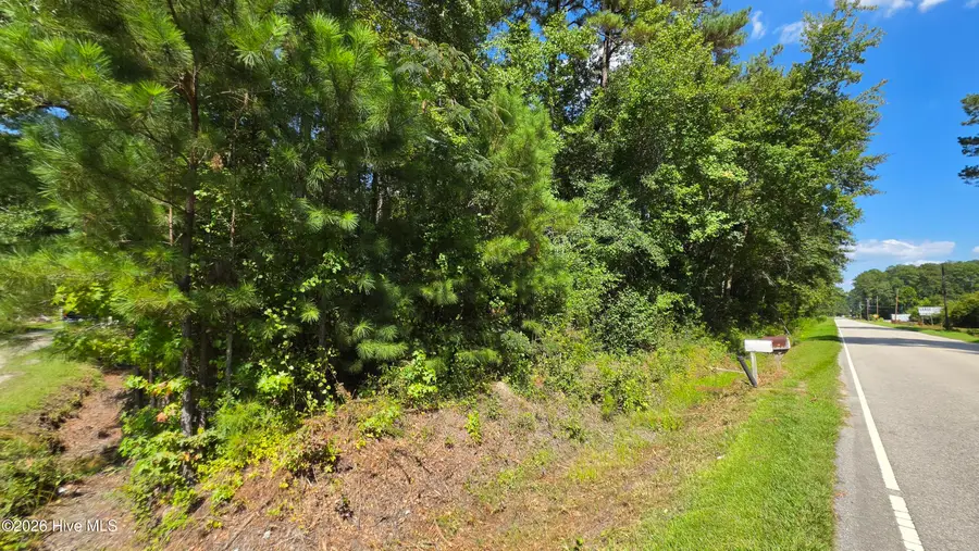 Near 74 Long Leaf Drive, Whiteville, NC 28472 - #3