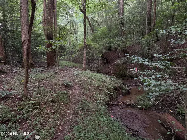 Lot 35 Tr2 Scenic Drive, Hayesville, NC 28904