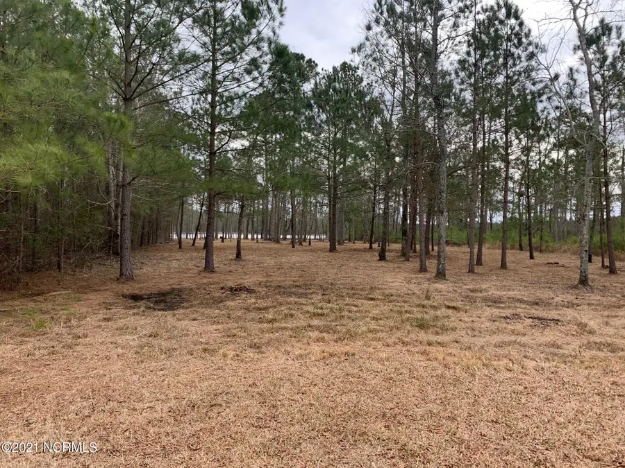 Lot 37 Sunset Road, Belhaven, NC 27810 - #2